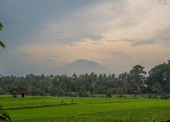 Kayu Senses - Private Around Endless Ricefield